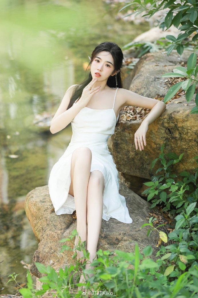 风骚律师