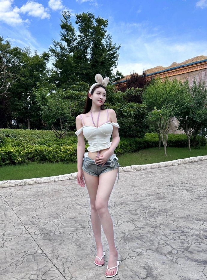 如懿传 封面
